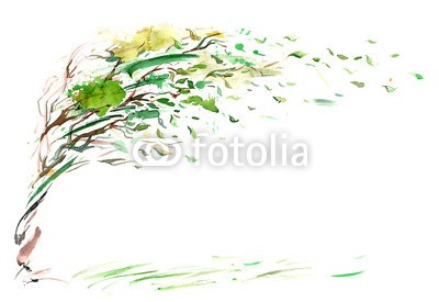 okalinichenko, wind (fliege, wege, schlag, fliegender, ausreisen, wind, hintergrund, pflanze, natur, anblick, verzweigt, leaf, baum, grün, jahreszeit, bewegung, abbildung, single, weiß, malerei, kunst, jahreszeitlich, life, stärke, wild, muster, laubwerk, 1, abstraktio)