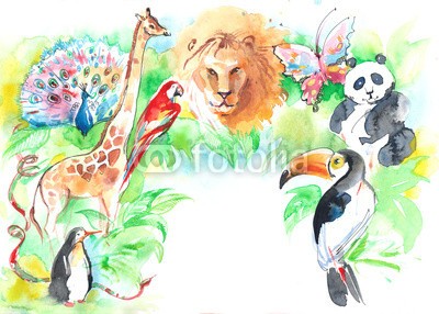 okalinichenko, zoo (tier, tierpark, pinguin, papagei, schöner, spassig, traurig, farb, natur, wildlife, haustier, vögel, säugetier, multi, orange, konzept, kopf, close-up, schnabel, schönheit, weiß, hübsch, locations, federn, profile, leaf, hell, tukan, draußen, flüge)