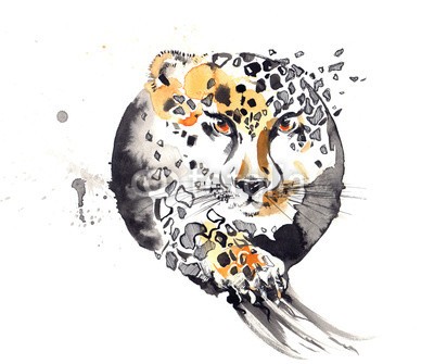 okalinichenko, cheetah (tier, katze, säugetier, haustier, ruhe, ruhig, pfoten, claw, gepard, wildlife, groß, natur, fleischfresser, afrika, wild, katzen, amphetamine, isoliert, 1, starren, hoheitsvoll, pelz, männlich, organismus, barthaare, gefahr, weiß, ehrfurcht, schönhei)