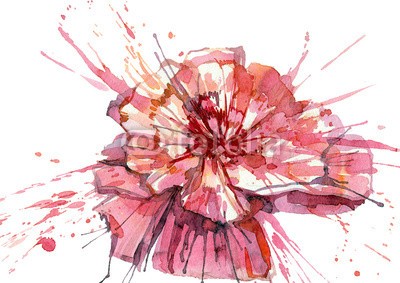 okalinichenko, flower (blume, malerei, malen, kunst, platsch, entladen, abstrakt, alternd, hintergrund, schönheit, botanik, dekoration, entwerfen, effekt, element, weiblich, flora, floral, rahmen, grafik, urlaub, abbildung, abbild, symbolik, isoliert, natürlich, natur, nieman)