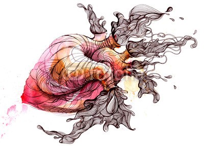 okalinichenko, heart (medizin, anatomie, menschlich, herz, intern, orgel, aorta, wissenschaft, life, artery, lebensfreude, adern, muskel, objekt, physiologie, leute, system, biologie, körper, krankheit, gesundheit, abbildung, isoliert, weiß, ärztin, rot, valva, geformt, blu)