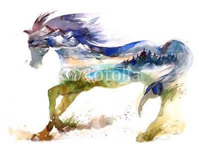 okalinichenko, horse (pferd, heimat, vollblüte, rennpferd, tier, aktion, himmel, reisen, säugetier, draußen, natur, locations, gras, freiheit, körper, viehweide, running, feld, fitness, schönheit, szene, haustier, wiese, ethnie, grün, zuchthengst, anblick, wettrenne)