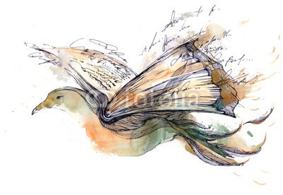 okalinichenko, knowledge (kunst, vögel, abbildung, flügel, symbol, bücher, fliegender, entwerfen, ausbildung, weiß, konzept, spiritualität, weisheit, peace, hoffnung, papier, lesestoff, leisure, betätigung, fantasy, kompetenz, himmel, magisch, taube, blatt, intelligen)