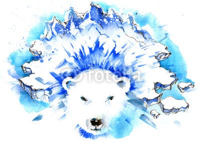 okalinichenko, north (tier, säugetier, norden, meer, bär, arktis, wild, eis, schnee, natur, fleischfresser, winter, wildlife, im, wasser, haustier, eisberg, weiß, landschaft, polar, antarktis, kalt, winterlich, frost, gefahr, abbildung, gefroren, large, hübsch, auf, pel)