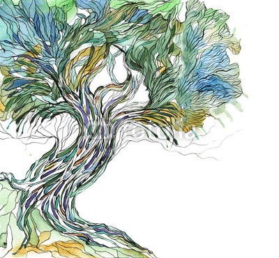 okalinichenko, old tree (baum, natur, laubwerk, grün, leaf, sommer, wald, zuwachs, pflanze, abbild, umwelt, isoliert, niemand, frühling, weiß, tage, holz, busch, focus, verfärbt, draußen, lush, verzweigt, raum, frische, horizontale, jahreszeitlich, zeichnung, abstrak)