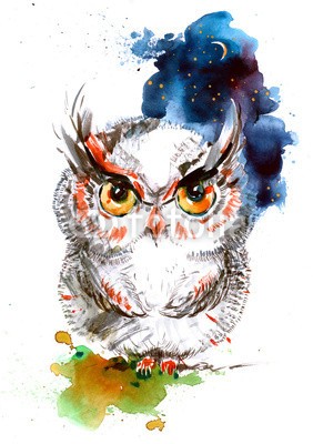 okalinichenko, owl (tier, vögel, abbildung, eulen, kühl, kunst, natur, hübsch, federn, haustier, weisheit, charakter, wildlife, weiß, kalt, intelligent, auge, schnabel, beute, intelligenz, sauber, flügel, jung, blick, füße, nacht, claw, himmel, fliegender, wolke)