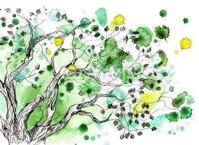 okalinichenko, tree (baum, natur, laubwerk, grün, leaf, sommer, wald, zuwachs, pflanze, abbild, umwelt, isoliert, niemand, frühling, weiß, tage, holz, busch, focus, verfärbt, draußen, lush, verzweigt, raum, frische, horizontale, jahreszeitlich, zeichnung, schwarz, abstrak)
