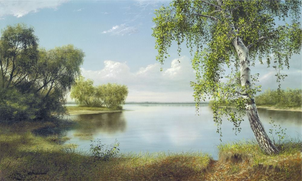 Oleynikov, CALM (Heide, Birke, See, Einsamkeit, Stille, Landschaft, Landschaftsmalerei, Idylle, Wohnzimmer, Malerei, bunt)