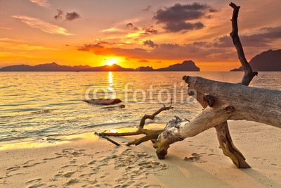 Olga Khoroshunova, Sunset (strand, morgengetränk, ozean, meer, sunrise, sonnenuntergänge, landschaft, seelandschaft, philippines, baum, wurzel, trocken, fadenzŠhler, niemand, landschaftlich, szenerie, himmel, lang, belichteter film, zeit, wasser, brandung, hintergrund, tapat)