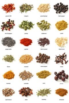 Panthermedia, Various Spices (Wunschgröße, Fotografie, Photografie, Kräuter, Gewürze, Plakat, verschiedene Gewürze, Varietäten, Küchenlehre, Küche, Gastronomie, Bistro, Restaurant, bunt)