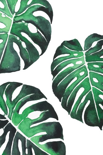 Sisi & Seb, Monstera III (Pflanze, Blume, Fensterblatt, Blätter, Botanik, Wunschgröße, Malerei, Treppenhaus, grün/weiß)