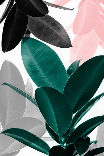 Sisi & Seb, Leaf Play (Pflanzen, Strauch, Zweige, Blätter, Botanik, Wunschgröße, Malerei, Treppenhaus, bunt)