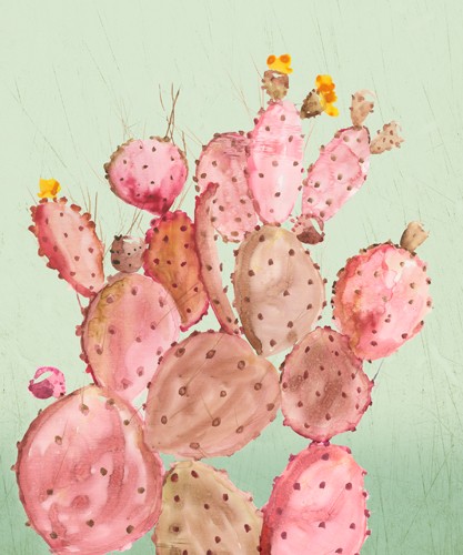 Aimee Wilson, Pink Cacti (Pflanzen, Kakteen, Blüten, Feigenkakteen, Vegetation, Tropisch, Wunschgröße, Malerei, Treppenhaus, Wohnzimmer, bunt)