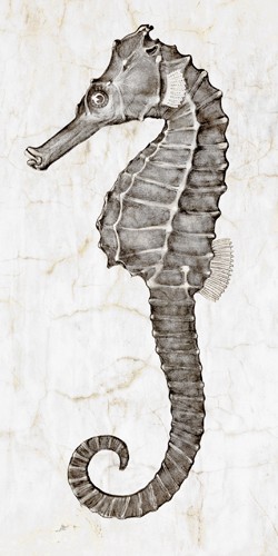 Christine Zalewski, Marble Sea Horse I