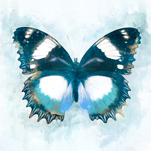 Leda Robertson, Artful Nature (Schmetterling, Insekt, Flügel, dekorativ, zeitgenössisch, Aquarell, Wunschgröße, Treppenhaus, Wohnzimmer, blau/weiß)