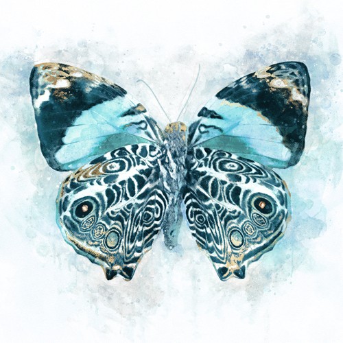 Leda Robertson, Winged Beauty (Schmetterling, Insekt, Flügel, dekorativ, zeitgenössisch, Aquarell, Wunschgröße, Treppenhaus, Wohnzimmer, blau/weiß)