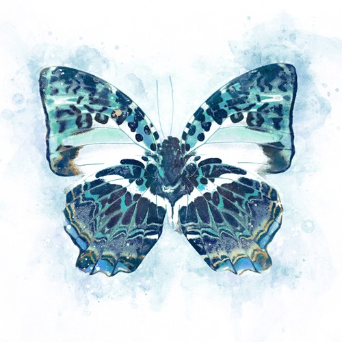 Leda Robertson, Wings of Color (Schmetterling, Insekt, Flügel, dekorativ, zeitgenössisch, Aquarell, Wunschgröße, Treppenhaus, Wohnzimmer, blau/weiß)