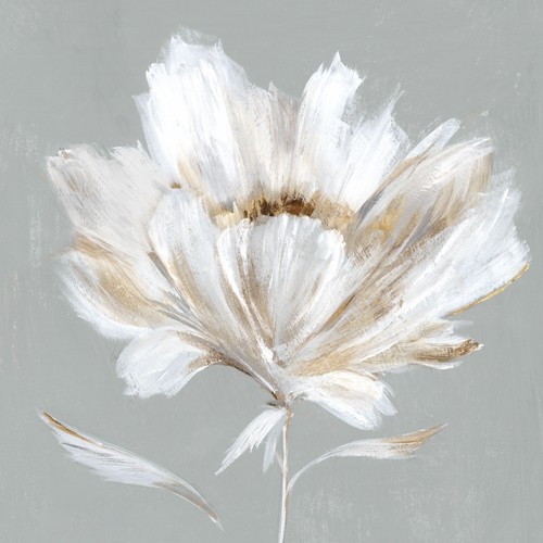 Isabelle Z, Sleeping Beauty III (Blume, Blüte, zart, Wunschgröße, Wohnzimmer, Treppenhaus, Wohnzimmer, Schlafzimmer, weiß/grau)