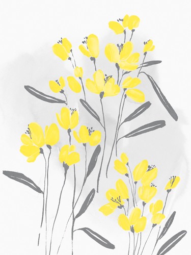 Isabelle Z, Wallflower I (Blumen, Blüten, filigran, zart, Wunschgröße, Wohnzimmer, Treppenhaus, Esszimmer, pastell, grau/gelb)