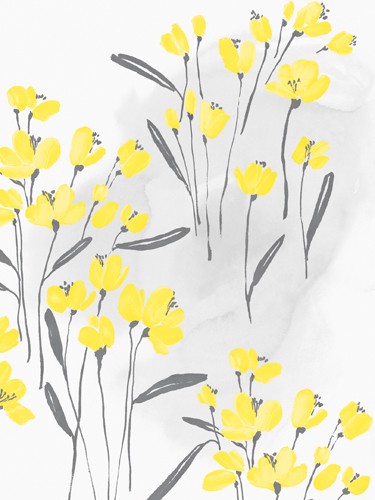 Isabelle Z, Wallflower II (Blumen, Blüten, filigran, zart, Wunschgröße, Wohnzimmer, Treppenhaus, Esszimmer, pastell, grau/gelb)