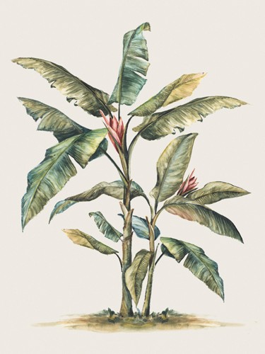 PI Studio, Tropical Daydream I (Blatt, Pflanze, Botanik, Studie, naturalistisch, Malerei, Treppenhaus, Wohnzimmer, Schlafzimmer, Wunschgröße, bunt)