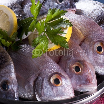 pieropoma, fisch (ansteckend, essen, tier, flusskrebs, collage, schale, muscheln, flusskrebs, ungekocht, küche, kochen, frisch, shrimps, garnele, feinschmecker, flusskrebs, lecker, industrie, isoliert, zitrone, meer, ernährung, objekt, fisch, fischhändler, vorbereitun)