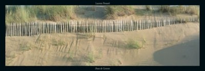 Laurent Pinsard, Dune de Carteret (Landschaftsfotografie, Fotografie, Dünen, Sand, Strand, Zaun, maritim, Wohnzimmer,)