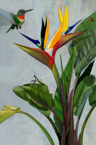 Steve Kinkel, Humming Bird of Par… (Pflanze, Strilitzie, Kolibri, Vogel, Gottesanbeterin, Marienkäfer, Natur, Malerei, Treppenhaus, Wohnzimmer, Wunschgröße, bunt)