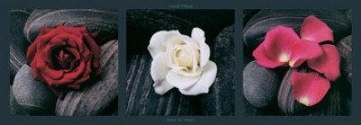 Laurent Pinsard, Roses on stones (Fotografie,  Fotokunst, Blüten, Rosen, Rosenblätter, Kieselsteine, Wohnzimmer, Treppenhaus, Triptychon)