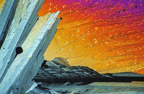 Peter Juzak, Adipinsäure (Mikrokristalle, Photokunst, polarisierendes Licht, Mikroskopisch, bizzar, Faszination, Wunschgröße, Arztpraxis, Wohnzimmer, Büro, Business, bunt)