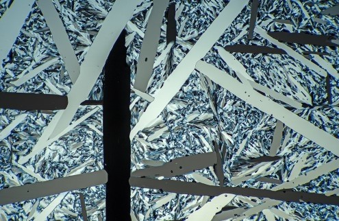 Peter Juzak, Menthol (Mikrokristalle, Photokunst, polarisierendes Licht, Mikroskopisch, bizzar, Faszination, Wunschgröße, Arztpraxis, Wohnzimmer, Büro, Business, bunt)