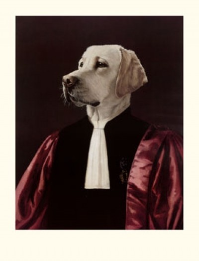 Thierry Poncelet, The Advocate (Labrador, Hund, Robe, Rechtsanwalt, witzig, Humor, Gericht, Tierportrait, Anthropomorphismus, Malerei,   Wohnzimmer, Treppenhaus, bunt)