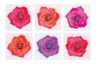 Emily Pop, Pop Roses (Blumen, Rosen, Reihe, Blüten, Aufsicht, Pop Art, modern, zeitgenössisch, Wohnzimmer, Treppenhaus, pink/rot)