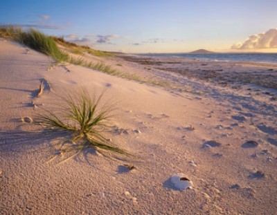 Popp-Hackner, Northland Karikari Bay (Photokunst, Fotografie, Landschaftsfotografie, Fotokunst, Strand, Gras, Düne,  Wohnzimmer, Schlafzimmer)