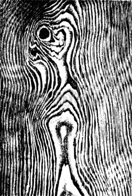 Prawny, Black and white wood grain texture design. (abstrakt, textur, hintergrund, holz, korn, mustern, digitales, schwarz, linie, kunst, borke, baum, natur, organisc)