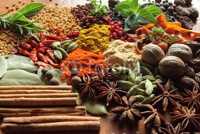 Profotokris, Herbs and spices. (gewürtz, spices, kraut, gewürze, essen, küche, zutaten, küche, rezepte, jahreszeit, würze, colorful, flagge, flagge, farbe, colourful, lebendig, vielfalt, anders, vielfallt, peppers, pfeffer, rot, muskatnuß, anis, anis, pilzzeit, cardamon, kardamom, warm,)