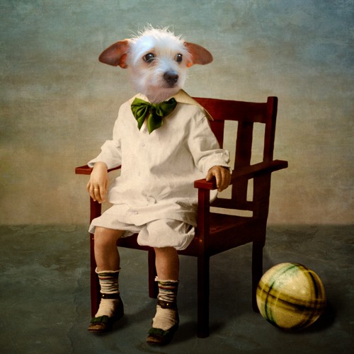 Martine Roch, Henri (Hund, Segelohren, niedlich, Kind, witzig, Humor, Tierportrait, Anthropomorphismus, Malerei, Wunschgröße, Wohnzimmer, Treppenhaus, bunt)