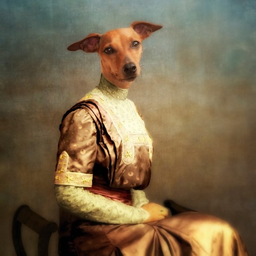 Martine Roch, Bambi (Hund, Hundedame, Tierportrait,  Kleid, Anthropomorphismus, Malerei, Wunschgröße, Wohnzimmer, Treppenhaus, bunt)