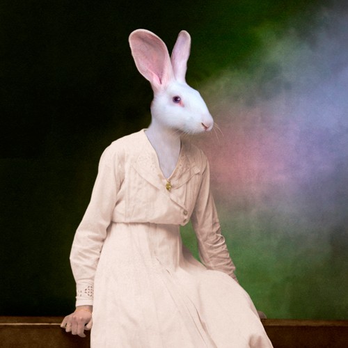 Martine Roch, The Delicate Lady (Eleganz, Hase, Häsin, weißer Hase, Kleid, Tierportrait, Anthropomorphismus, Malerei, Wunschgröße, Wohnzimmer, Treppenhaus, bunt)