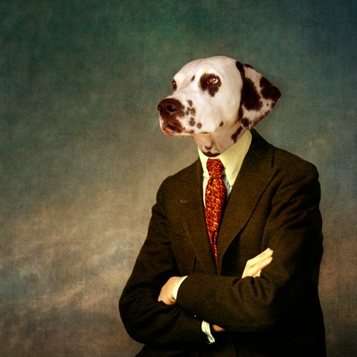 Martine Roch, The Patient Man (Dalmatiner, Hund, Anzug, Krawatte, witzig, Humor, Lässigkeit, Tierportrait, Anthropomorphismus, Malerei, Wunschgröße, Wohnzimmer, Treppenhaus, bunt)