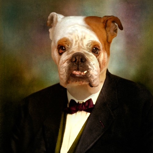 Martine Roch, The Sweet Grandpa (Hund, Dogge, Unterbiss, Großvater, Anzug, Fliege, witzig, Humor, Tierportrait, Anthropomorphismus, Malerei, Wunschgröße, Wohnzimmer, Treppenhaus, bunt)