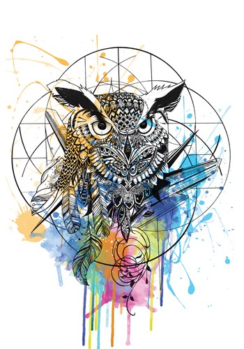 Karin Roberts, Owl (Uhu, Eule, Tierportrait, Kreissegmente, Zeichnung, Farbklekse, modern, Stilmix, Kreisornament, Treppenhaus, Wohnzimmer, Wunschgröße, bunt)