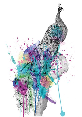 Karin Roberts, Peacock (Pfau, Vogel, Pfauenfedern, Tierportrait, Zeichnung, Farbklekse, modern, Stilmix,  Treppenhaus, Wohnzimmer, Wunschgröße, bunt)