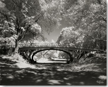 Ralf Uicker, Central Park Bridge (Wunschgröße, Fotokunst, Städte, Park, Bäume, Brücke, New York, Amerika, Wohnzimmer, Treppenhaus, schwarz/weiß)