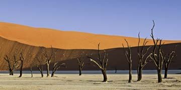 Rainer Mirau, Dead Vlei (Namibia, Afrika, Sanddünen, Akazienbäume, abgestorben, Landschaftsfotografie, Wüste, Fotografie, Wunschgröße, Wohnzimmer, Treppenhaus, bunt)