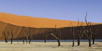 Rainer Mirau, Dead Vlei (Namibia, Afrika, Sanddünen, Akazienbäume, abgestorben, Landschaftsfotografie, Wüste, Fotografie, Wunschgröße, Wohnzimmer, Treppenhaus, bunt)