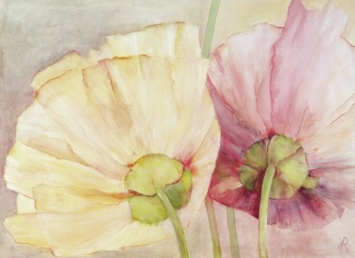 Reichert Katharina, Behind The Poppies (Blumen, Mohn, Mohnblüten, Floral, Aquarell, transparent, zart, Treppenhaus, Wohnzimmer, bunt)