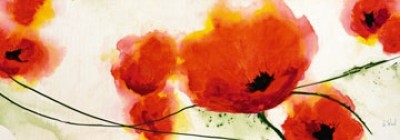 Heidi Reil, Flying Red (Blumen, Mohnblumen, Mohnblüten, Floral, Aquarell, transparent, zart, Treppenhaus, Wohnzimmer, bunt)