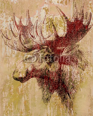 Reimer - Pixelvario, Retrobild - Elch (elch, elch, hirsch, nordeuropa, geweih, zeichnung, gezeichnet, bemalt, hintergrund, original, tattoo, artiodactyla, hirsch, wiederkäuer, bejahrt, retro, jahrgang, wandbild, posters, plakat, postkarte, labe)