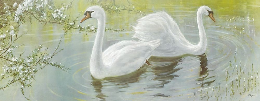 Rengia, SWANS (Schwäne, Wasservögel, Eleganz, Teich, Frühling, Wohnzimmer, Badezimmer, Malerei, bunt)